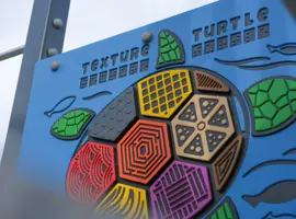 Leinster Avenue Reserve texture turtle
