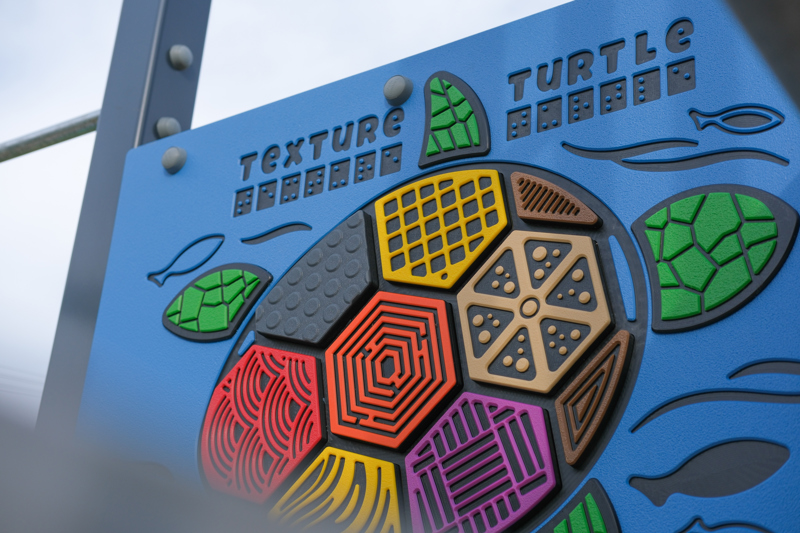 Leinster Avenue Reserve texture turtle