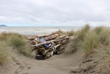 Keeping safe around our sand dunes
