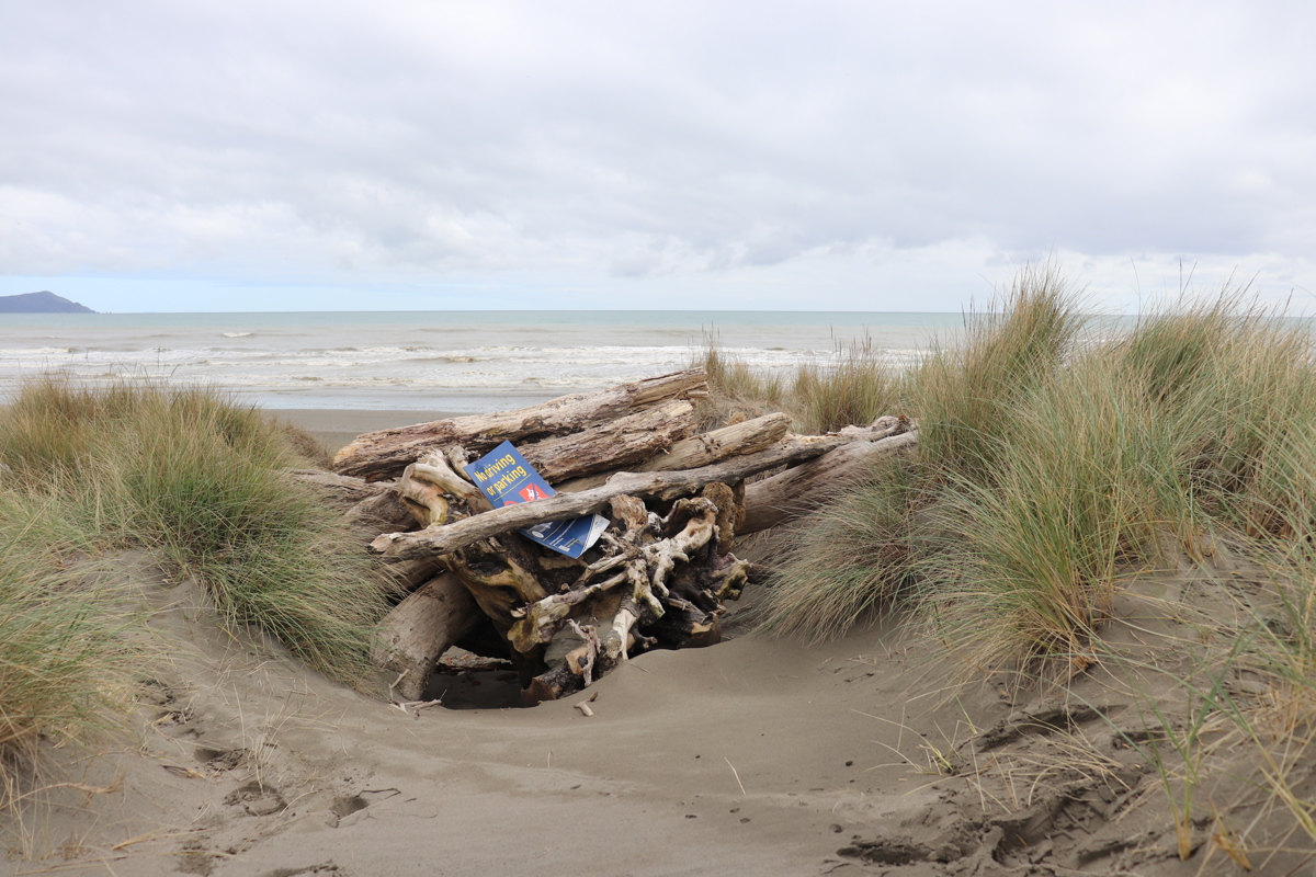 Sand dune on the Kāpiti Coast