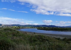 Waikanae estuary.