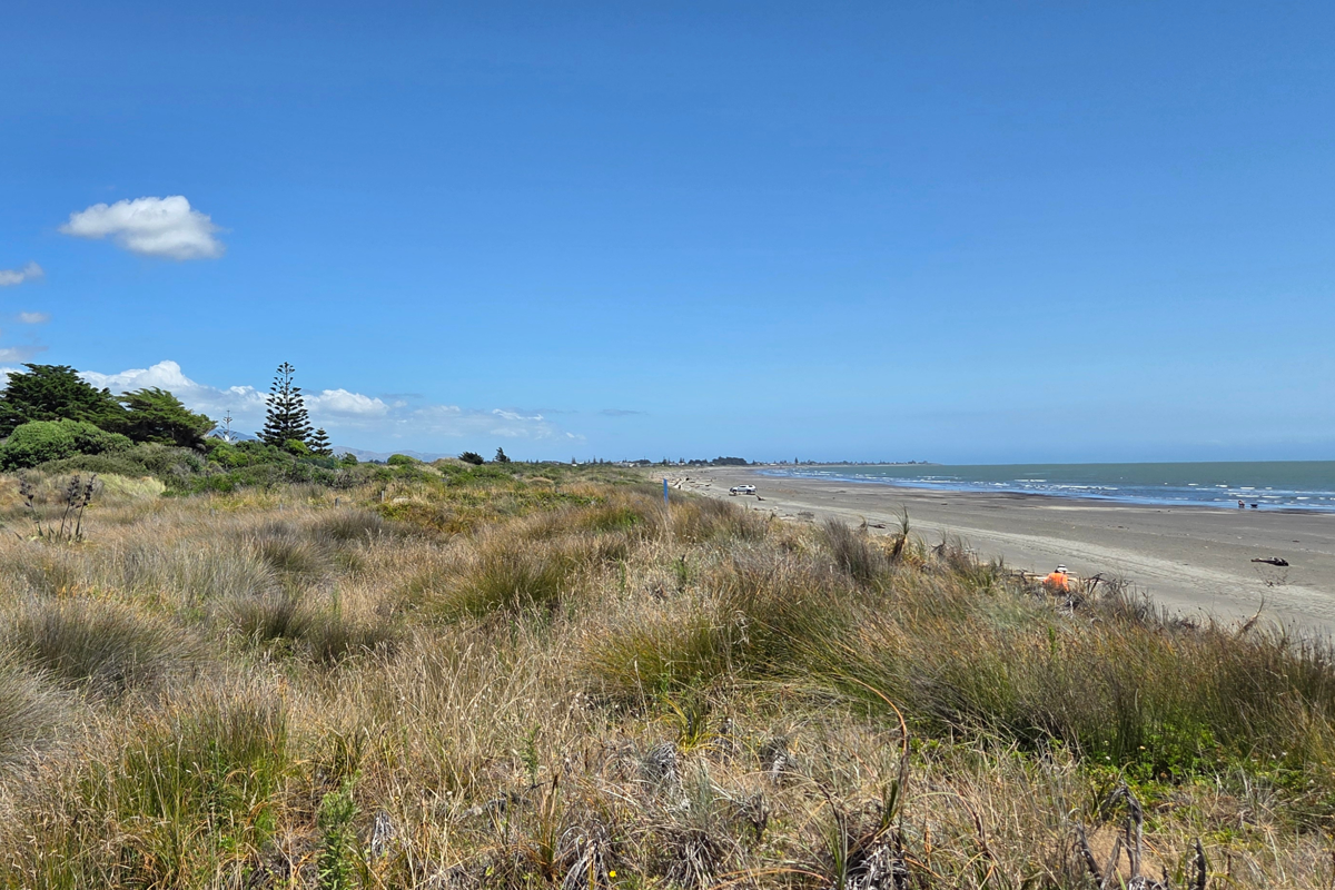 View of a sand dune and beach on the Kāpiti Coast with a clear blue sky in the distance.