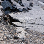 Close up of Blue Bluff road cracks – 17 March 2021 - Thumbnail