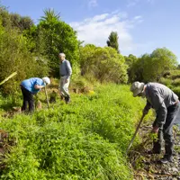 Kaitawa Reserve Volunteers thumbnail
