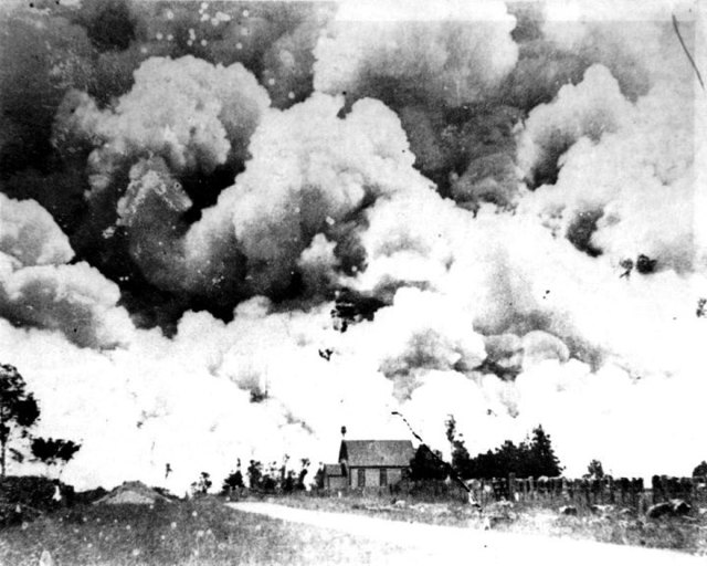 Fire In The Reikorangi Valley 1908
