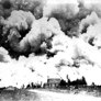 Fire In The Reikorangi Valley 1908 - Thumbnail