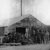 Browns’ Flax Mill, Waikanae, 1910. Hp 1372, Brown Collection, Kāpiti Coast District Libraries. thumbnail