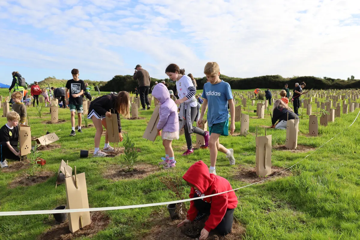 Lots of school children planting lots of plants at Pharazyn Reserve 