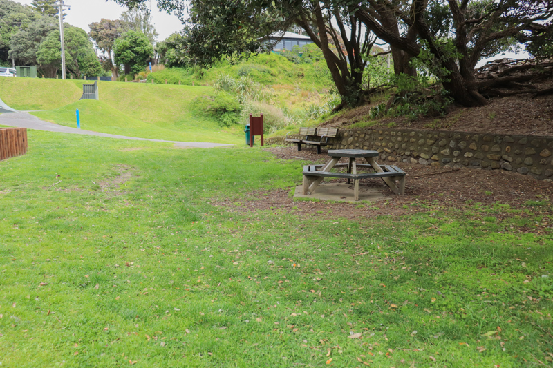 Campbell Park picnic table