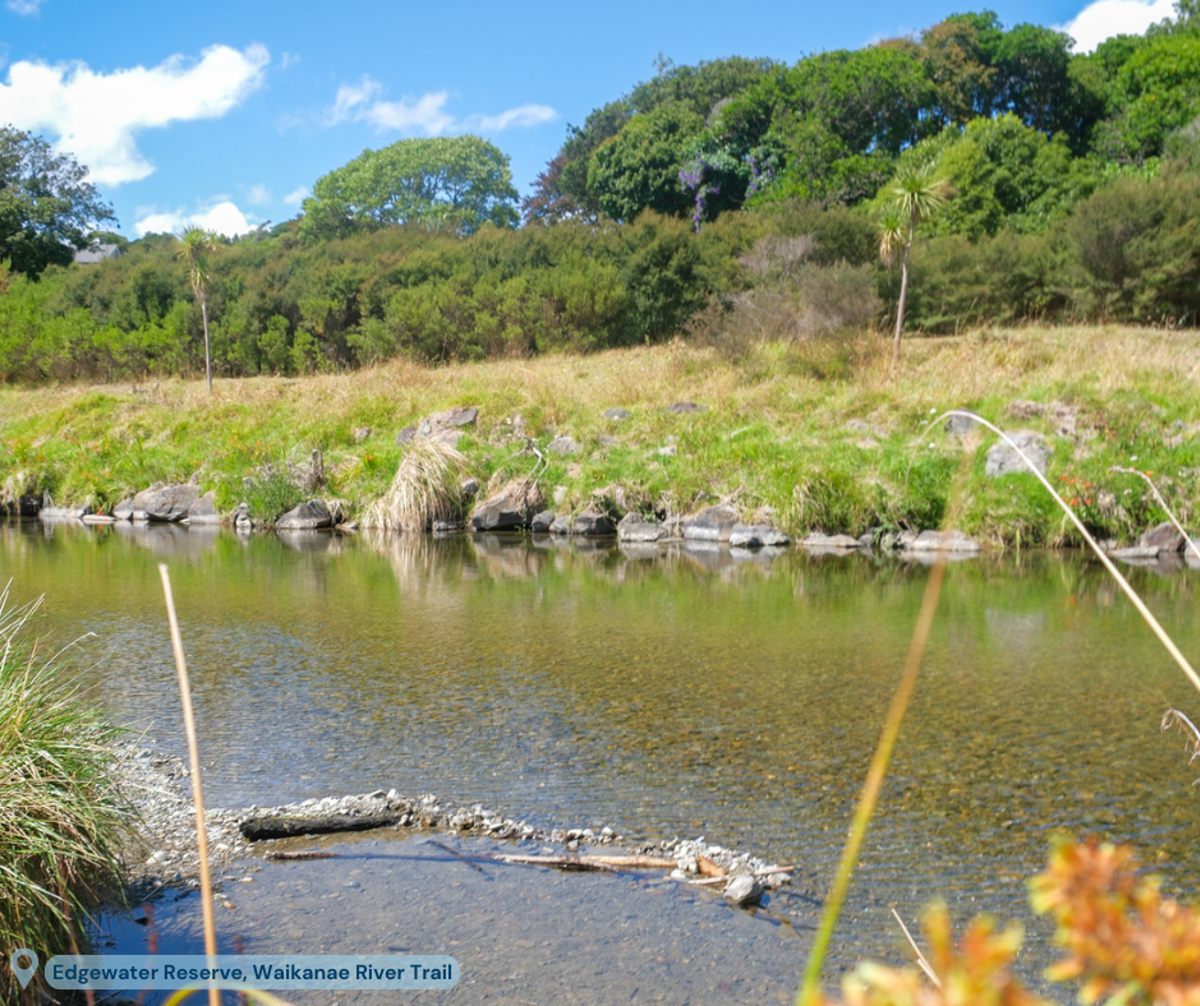 The river at Edgewater Reserve where littlies like to build dams.