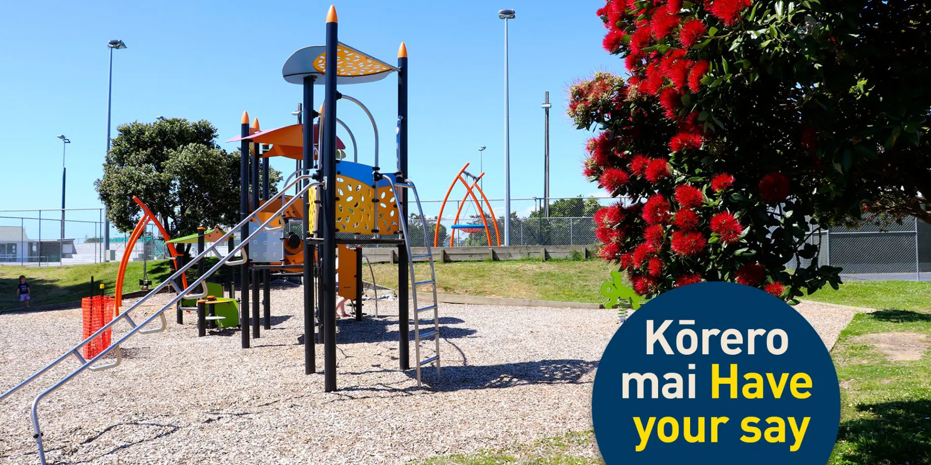 Have Your Say Te Atiawa