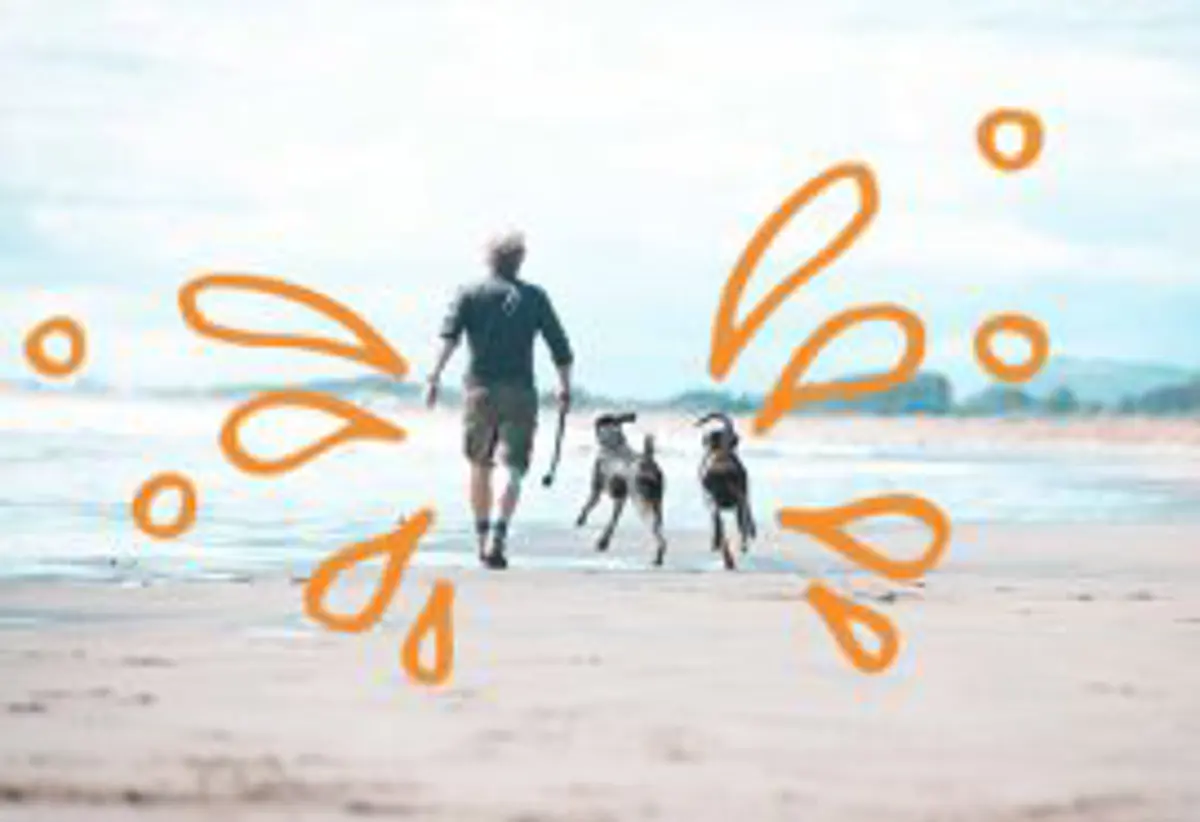 Man and two dogs walking on the beach 