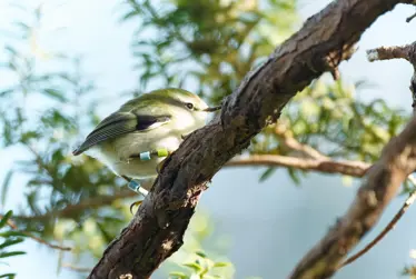 Heritage Fund opens for applications to protect special places across Kāpiti