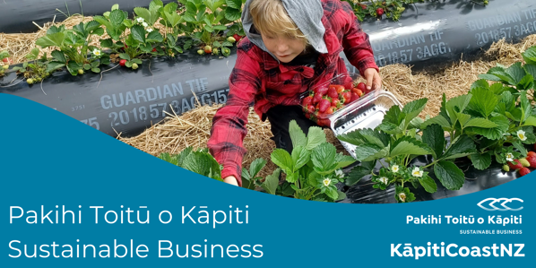 Child tending to strawberry garden - sustainable business newsletter main image