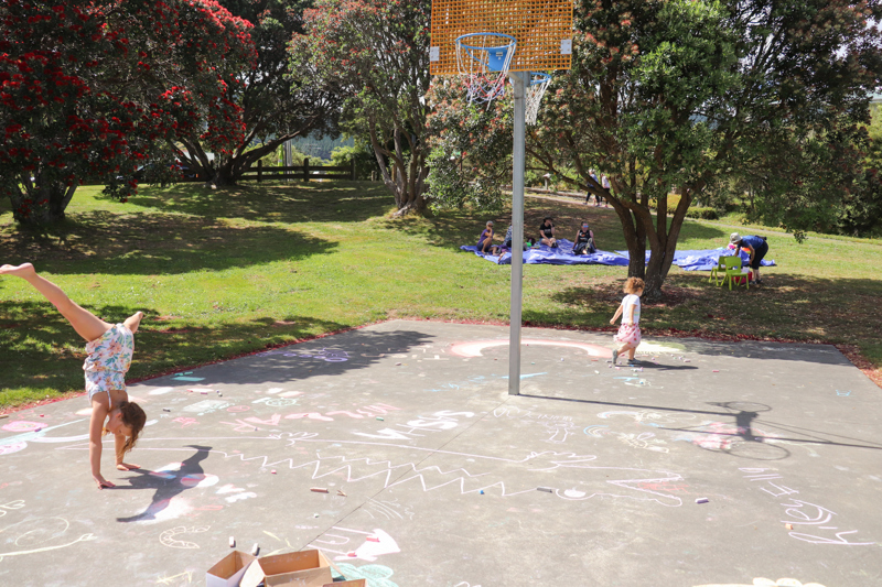 Kaitawa Reserve hoops