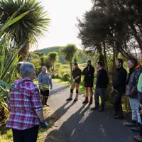 Parks team learning about appropriate pruning techniques thumbnail