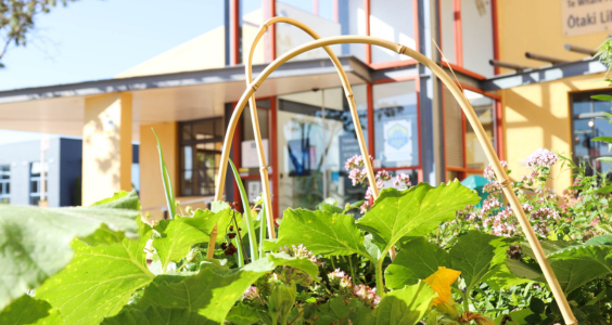 Photo of community garden, with Ōtaki Library in the background.