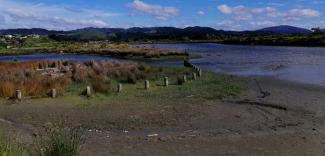 Waikanae Estuary