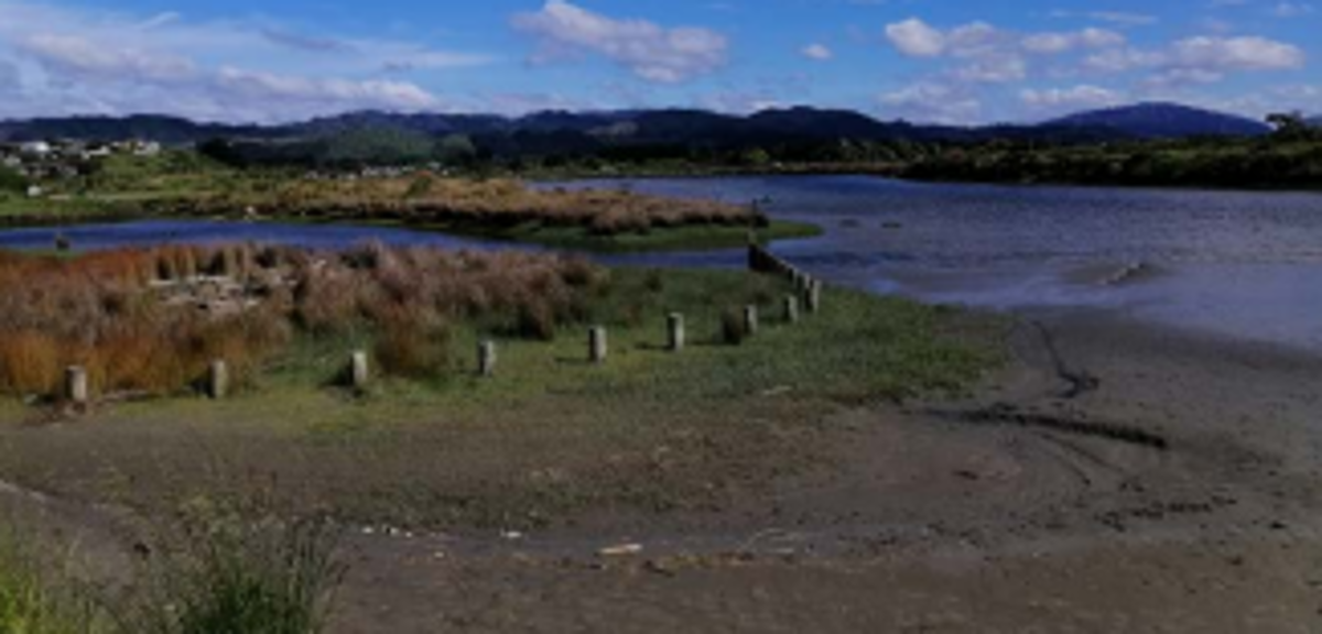 Waikanae Estuary
