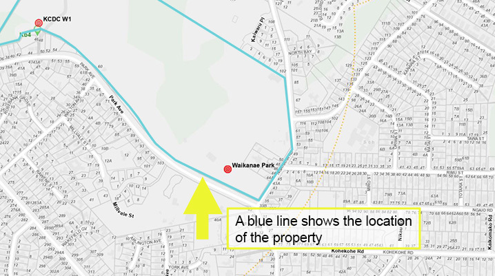 Waikanae map zoomed in to show selected property marked with blue line