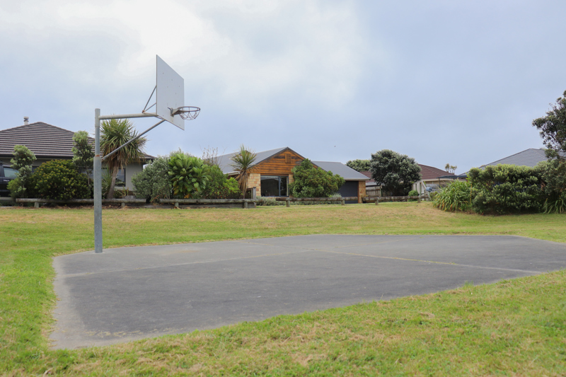 Pharazyn Avenue Playground hoop