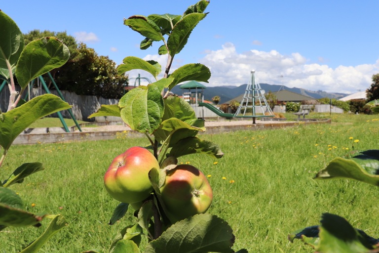 Apples at San Vito Place Reserve