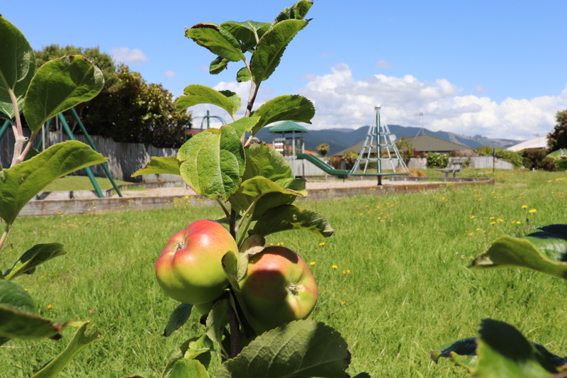 Apples at San Vito Place Reserve