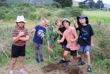 37 groups receive funding to Strengthen Community and Creativity across the Kāpiti Coast