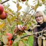 fruit pick apple l - Thumbnail