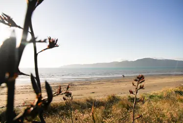 Council agrees approach to reviewing the coastal environment chapter of its District Plan