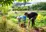Environmental Restoration – Kapiti Coast District Council