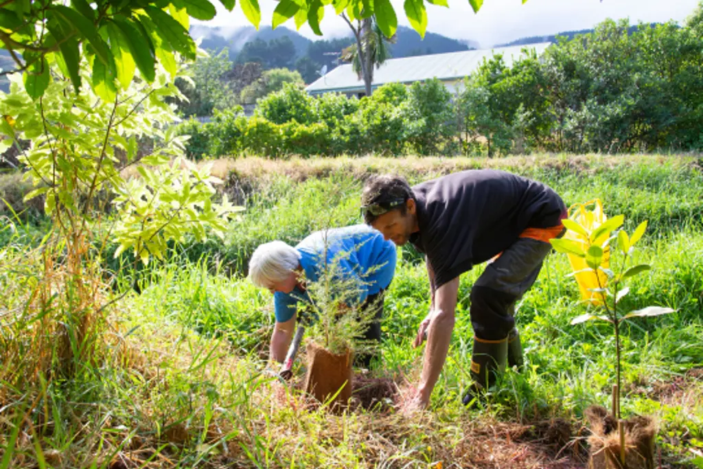Environmental Restoration – Kapiti Coast District Council