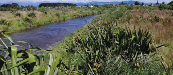 Photo B. Looking upstream of Waitohu Stream into farmland and the back of Ōtaki Beach settlement.