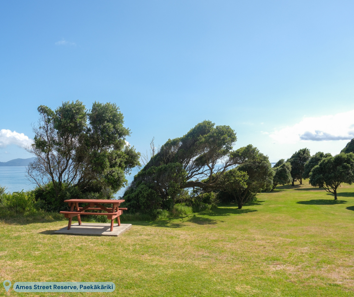 Picnic beach and large grassy open space at Ames Street Reserve, Paekākāriki
