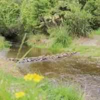 Kaitawa Reserve stream thumbnail