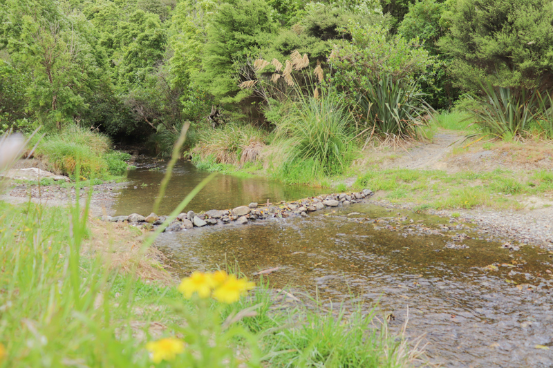 Kaitawa Reserve stream
