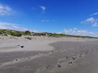 Peka Peka Beach and dunes.