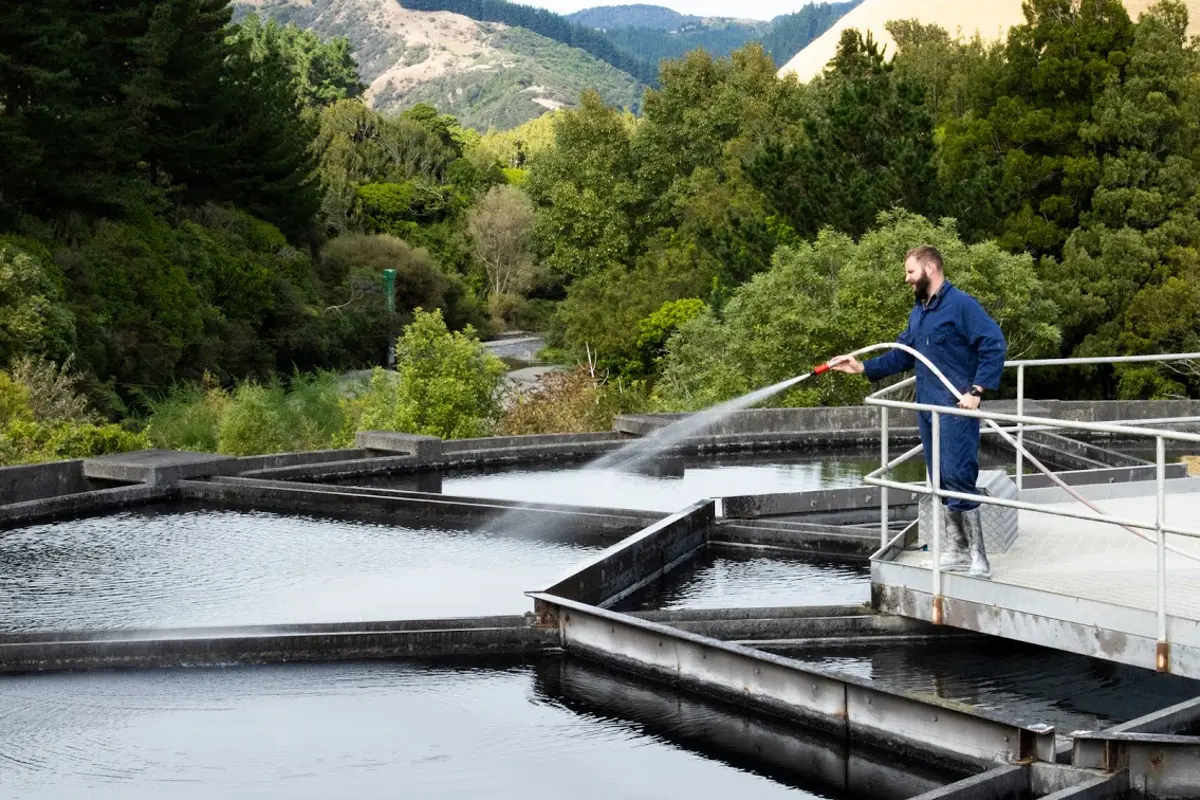 Kāpiti coast worker in high a high vis vest testing the water quality of drinking water. He has a test tube and a pipette  