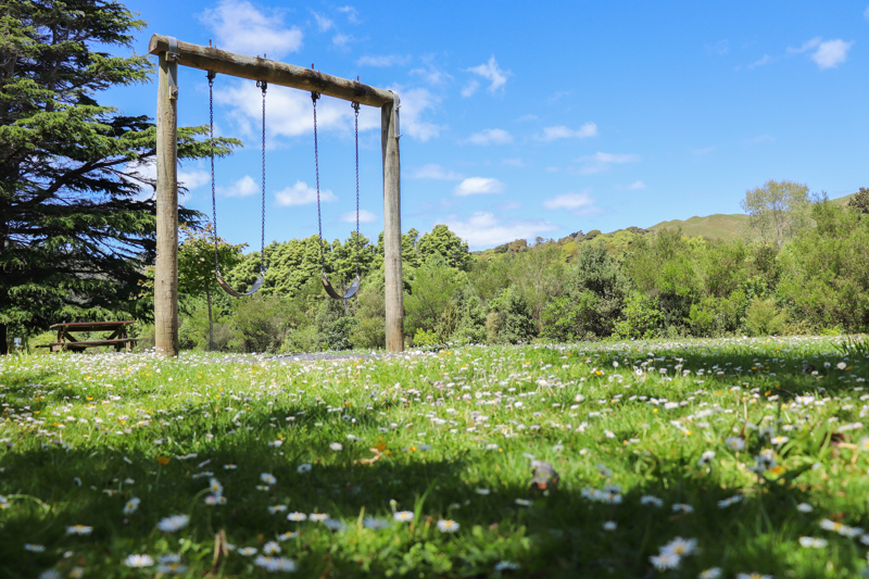 Edgewater Park swings