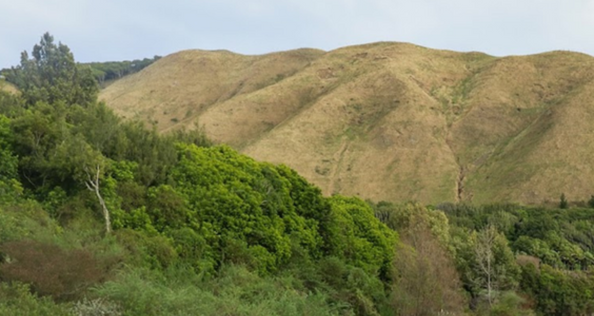 Kāpiti Coast District Council has unanimously voted to adopt Plan Change 3 to restore recognition of Kārewarewa urupā as wāhi tapu in the District Plan and provide protection from inappropriate subdivision, use and development.      The decision recognises the deep spiritual and cultural significance of the urupā to tangata whenua, and the intergenerational trauma caused by its desecration.       Mayor Janet Holborow says the decision to adopt Plan Change 3 reflects the mana of the wāhi tapu site and corrects the wrongful mistakes of the past.        “Kārewarewa urupā is a place of significant spiritual and cultural value to tangata whenua. The land now has the respect it deserves and cannot be desecrated any more.      “Te Ātiawa ki Whakarongotai are the rightful kaitiaki of the site and Council will work closely with them to ensure the future of the land reflects this decision,” the Mayor said.       Kāpiti Coast Māori Ward Councillor Himiona Grace acknowledged the significance of the decision to protect the urupā from future development and spoke of the intergenerational trauma caused by the destruction of the urupā. 