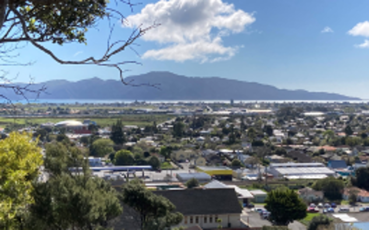 Aerial view of houses and building out towards the sea and Kāpiti Island.