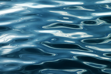 Council grapples with the options for future water services delivery