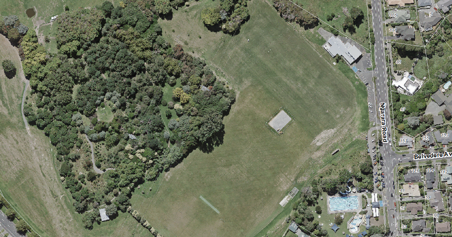 Waikanae Park Aerial