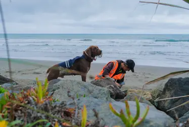 Stay up to date with Everything Kāpiti