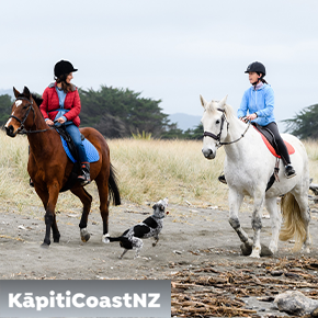 Kapiticoastnz