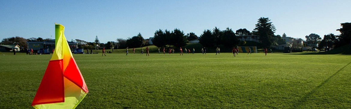 sports grounds banner 2