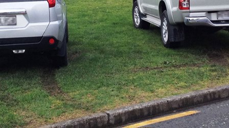 Photo of two vehicles parked on a berm beside yellow broken lines.