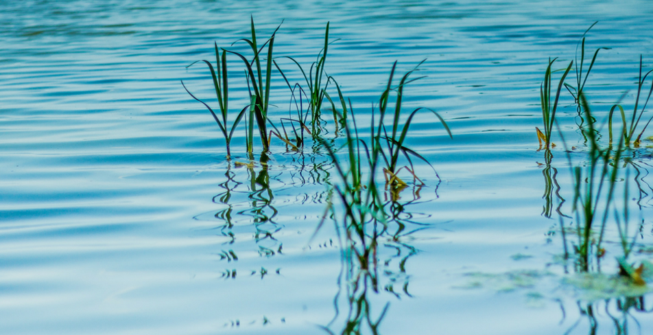 Stormwater Pond