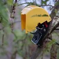 Tree-mounted trap thumbnail