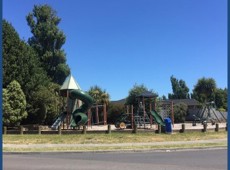 totara